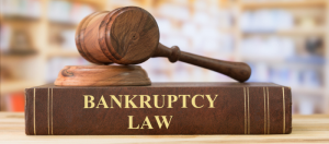 Bankruptcy Law book, brown with a brown gavel